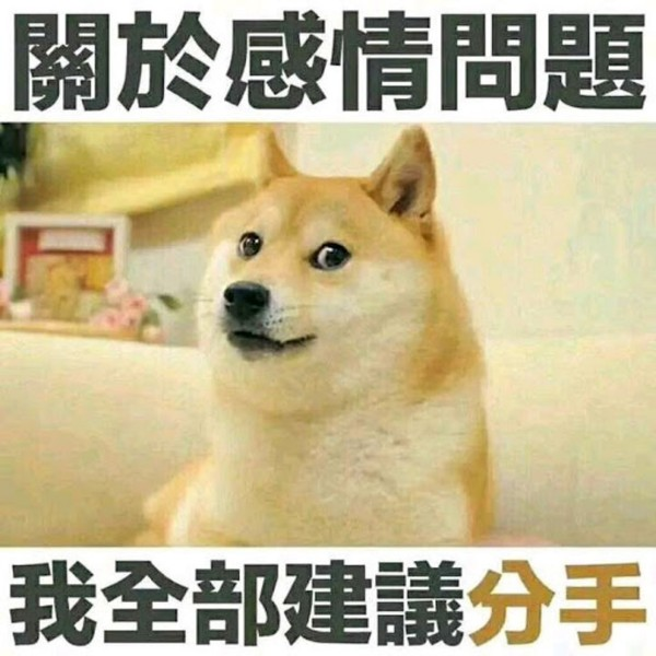 狗狗币