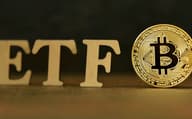 Coin Metrics：比特币 ETF 一周年回顾