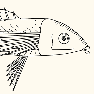 Generative Fish