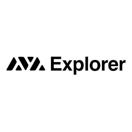 Avalanche Explorer