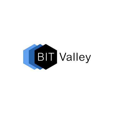 BitValley